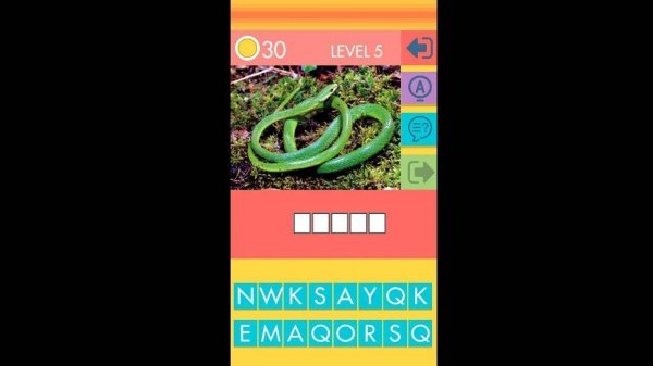 Visual Vocabulary Builder: English Word Pairs