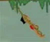 Jungle Boogie Online Game