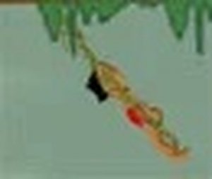 Jungle Boogie Online Game