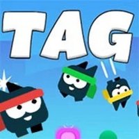 Tag 2 3 4 Players Online Multiplayer Game