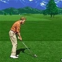 Neo Turf Masters Golf Game