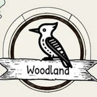 Birdlingo Online Game