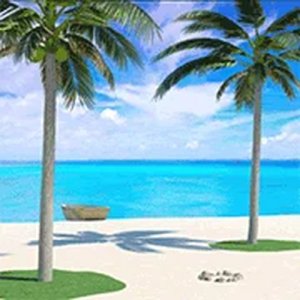Deserted Island 2 Adventure Game
