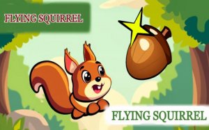 Flying Squirrel: Blocks Target Puzzle Game