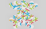 Hexa Knot Puzzle Game Online