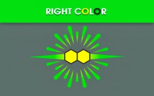 Right Color: Color Sorting Puzzle Game Online