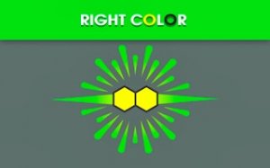 Color Sort Puzzle