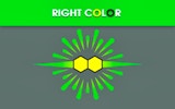 Right Color: Color Sorting Puzzle Game Online