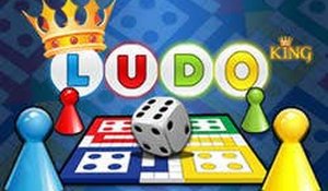 Ludo King Online Board Game